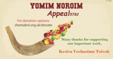 YOMIM NOROIM Appeal